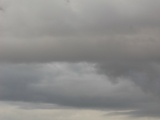 Tn  DSC0431